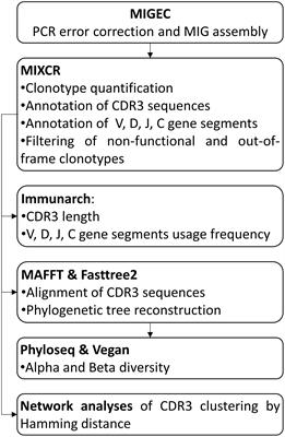 The landscape of the immunoglobulin repertoire in endemic pemphigus foliaceus